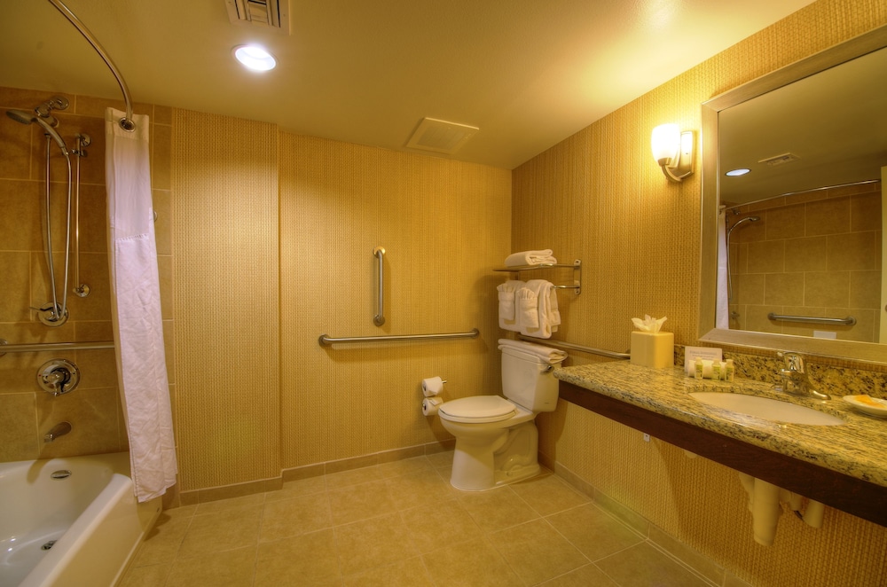 Holiday Inn & Suites Phoenix Airport 34/79