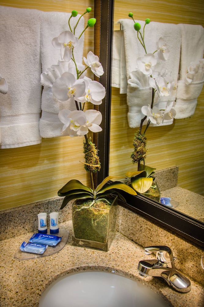 Fairfield Inn Suites By Marriott Washington Dulles Airport 14/24