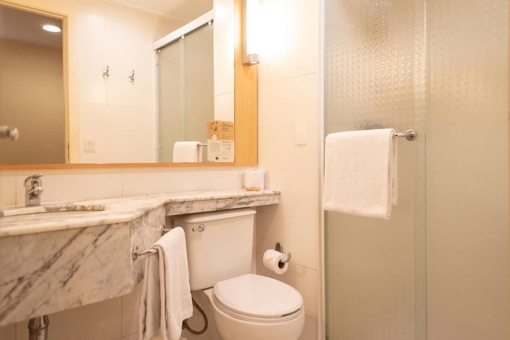 Ibis Sao Paulo Barra Funda 73/74