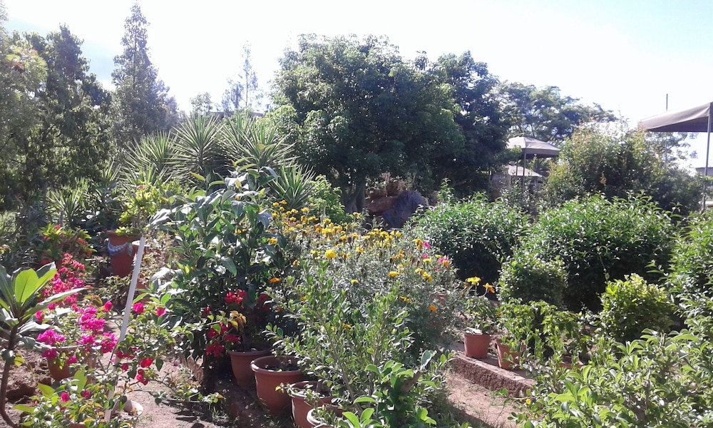 Adansonia Hotel 26/34
