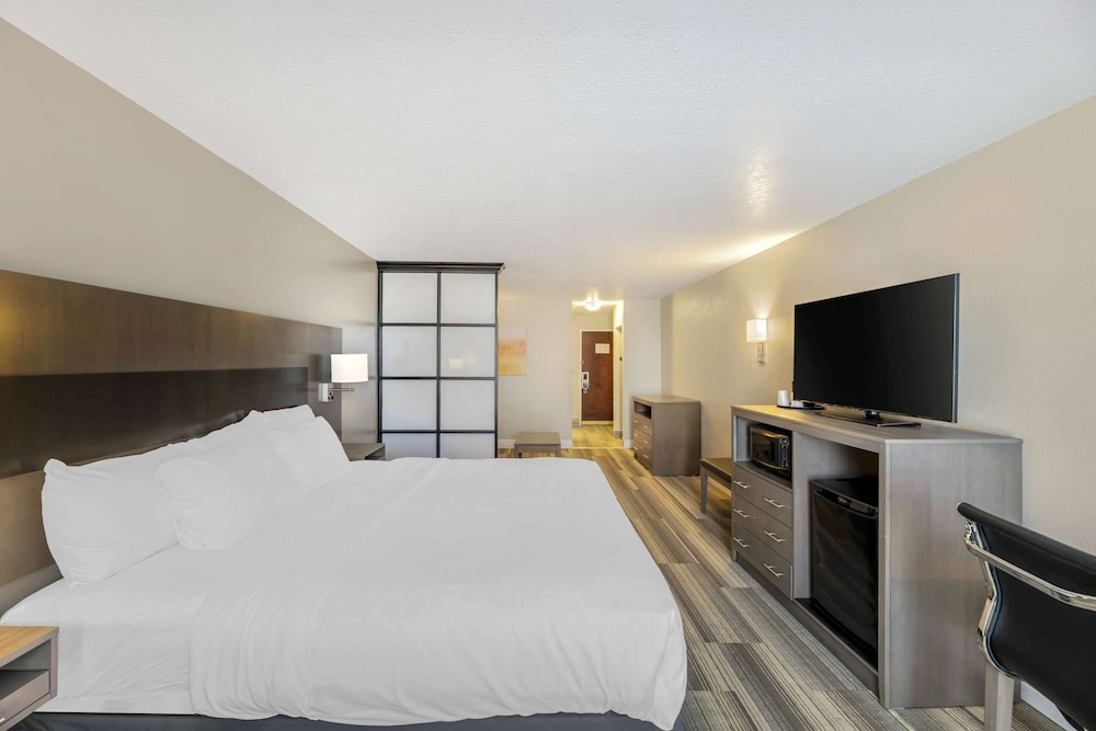 Upgrade, Suite, King Bed, Sofa