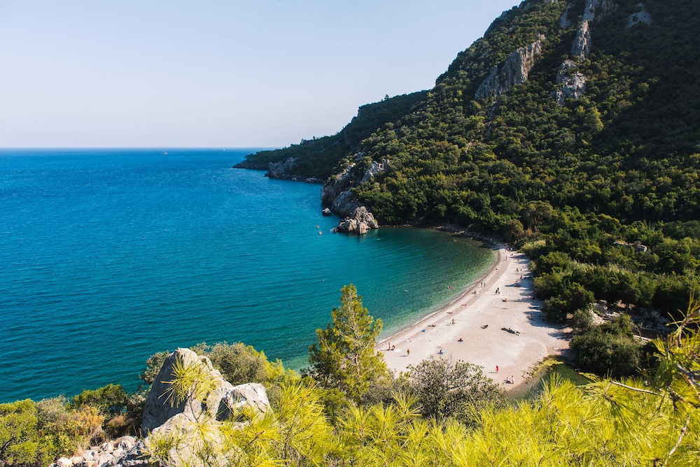Olympos Orange 39/50