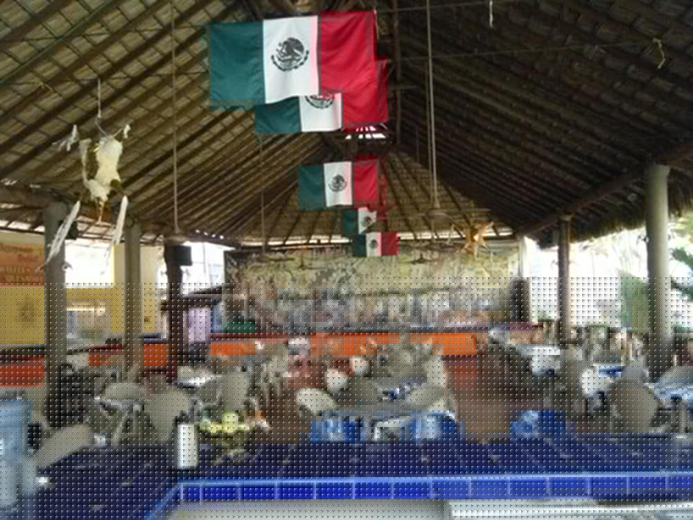 El Tropicano 20/28