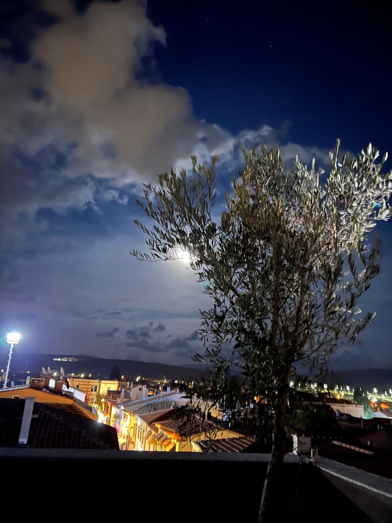Woodstock Alacati 46/50
