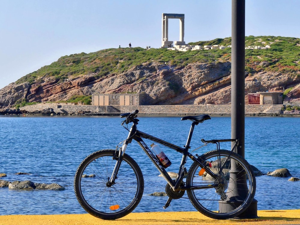 Naxos Luxury Villas 28/36