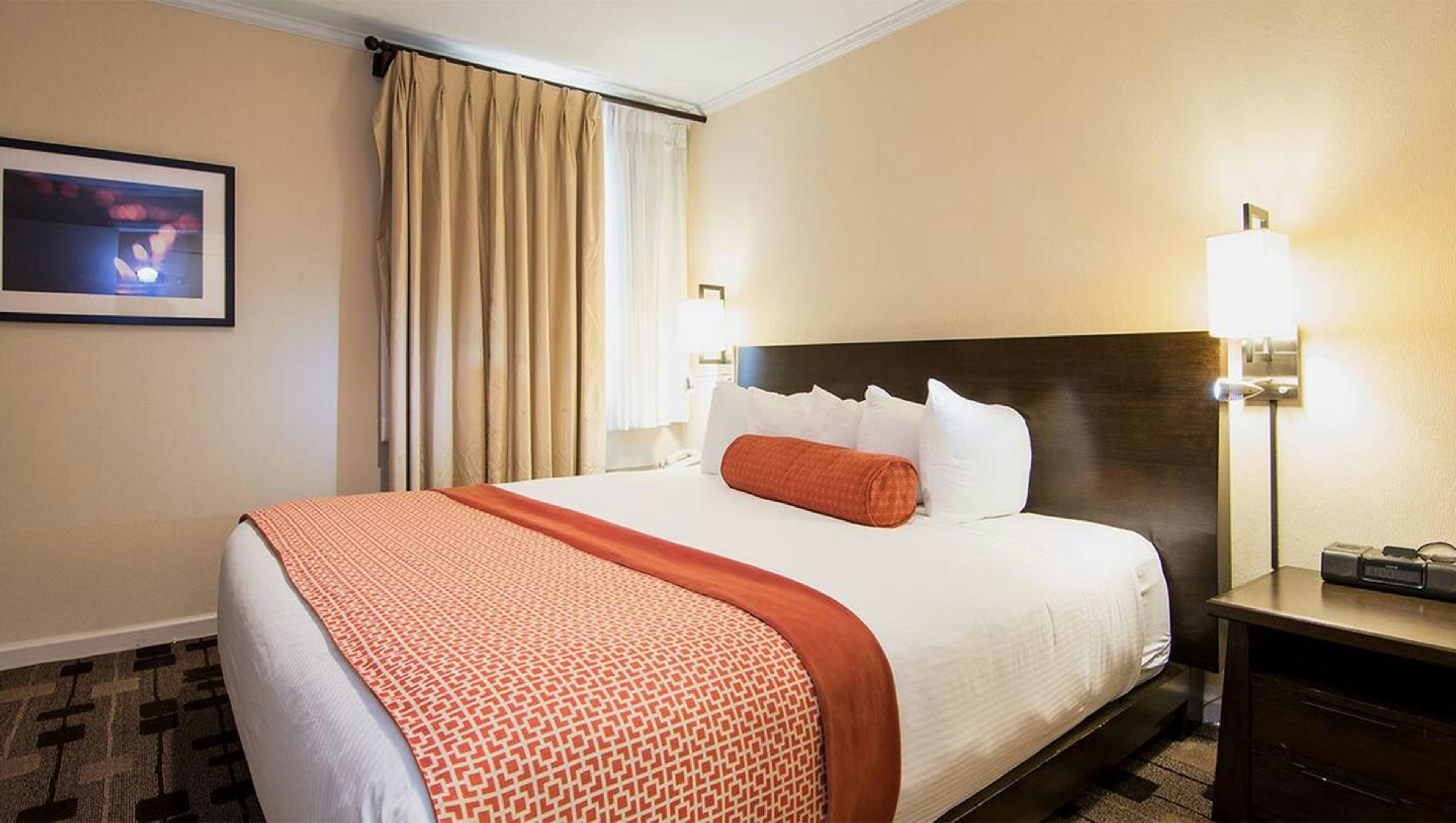 Suite, King Bed