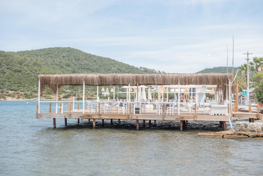 Palmiye Beach & Rest 56/64