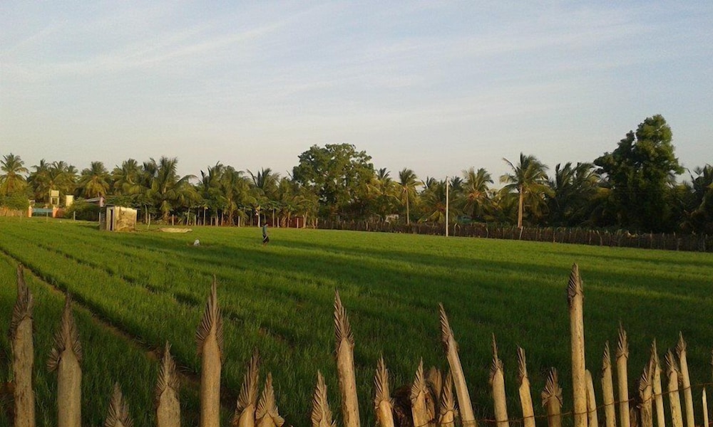 Sea Zone Hotel Nilaveli 39/49