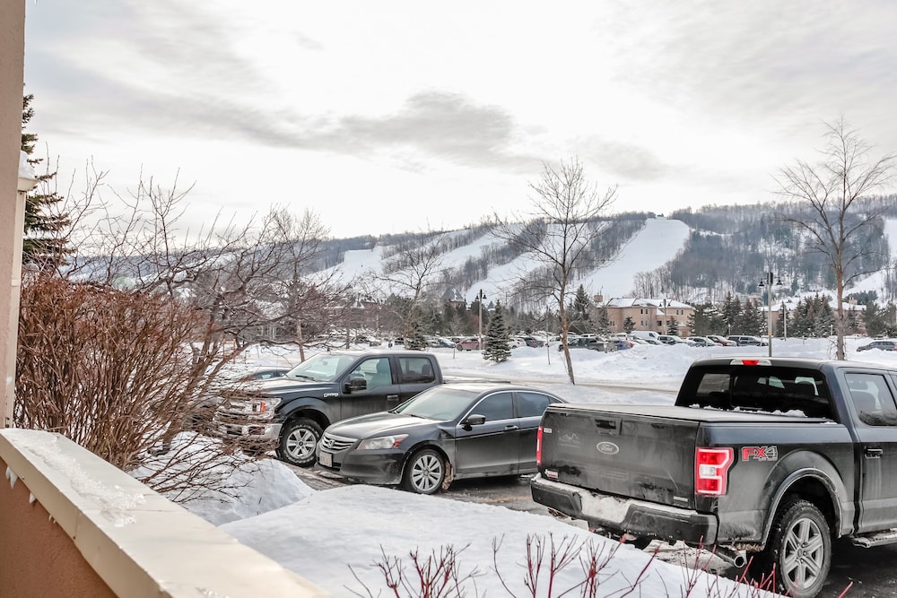 The Lodges At Blue Mountain Wintergreen Condos 39/48