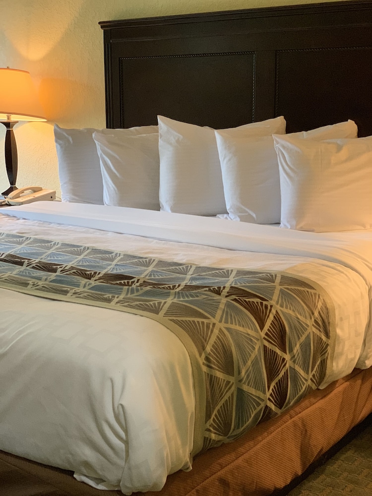 塔斯卡卢萨大使套房酒店(Ambassador Inn and Suites Tuscaloosa) 图片2