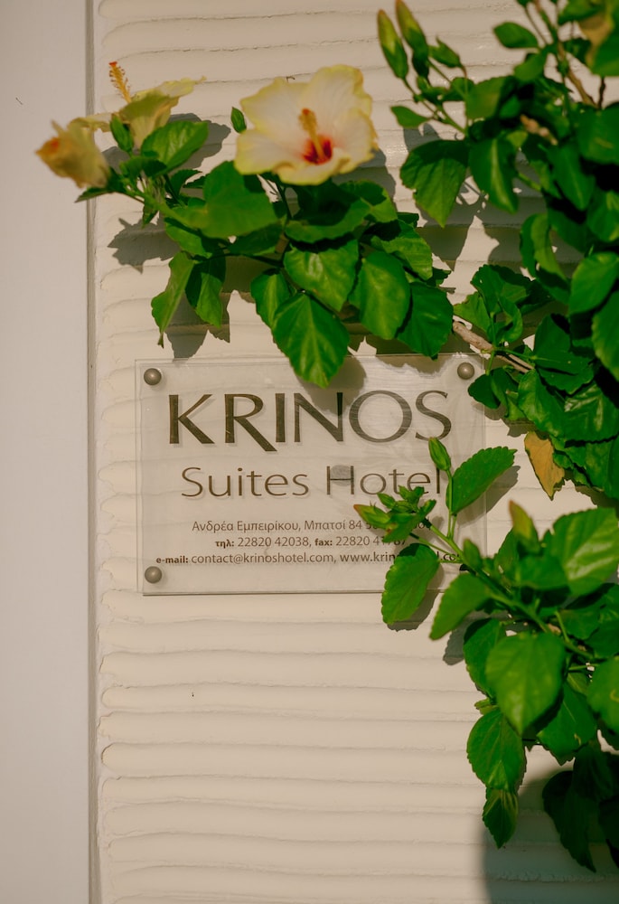 KRINOS SUITES HOTEL 9/50