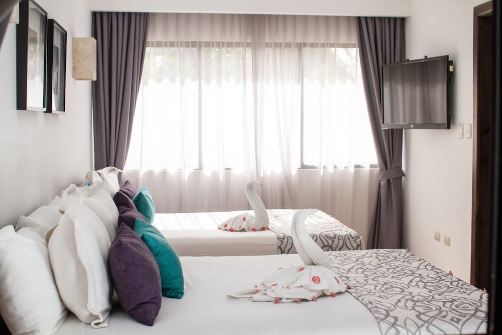 Silvestre Hostal 35/61