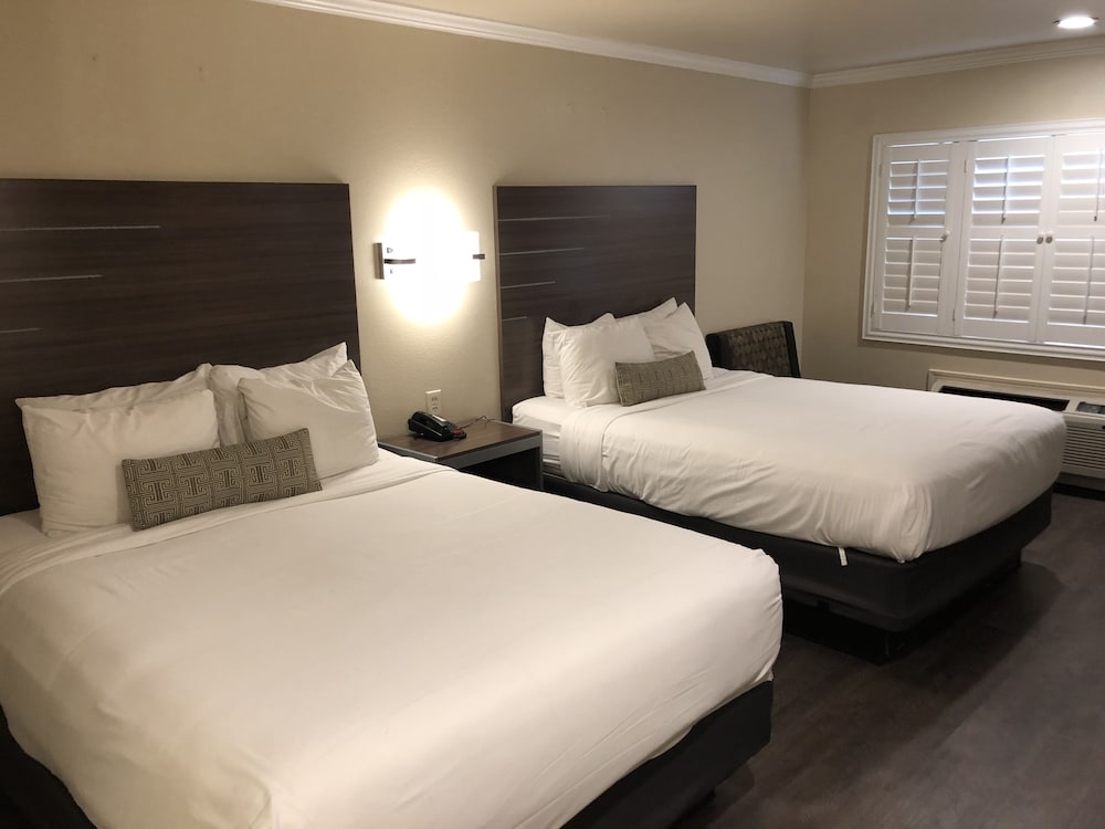 El Castell Motel 10/65