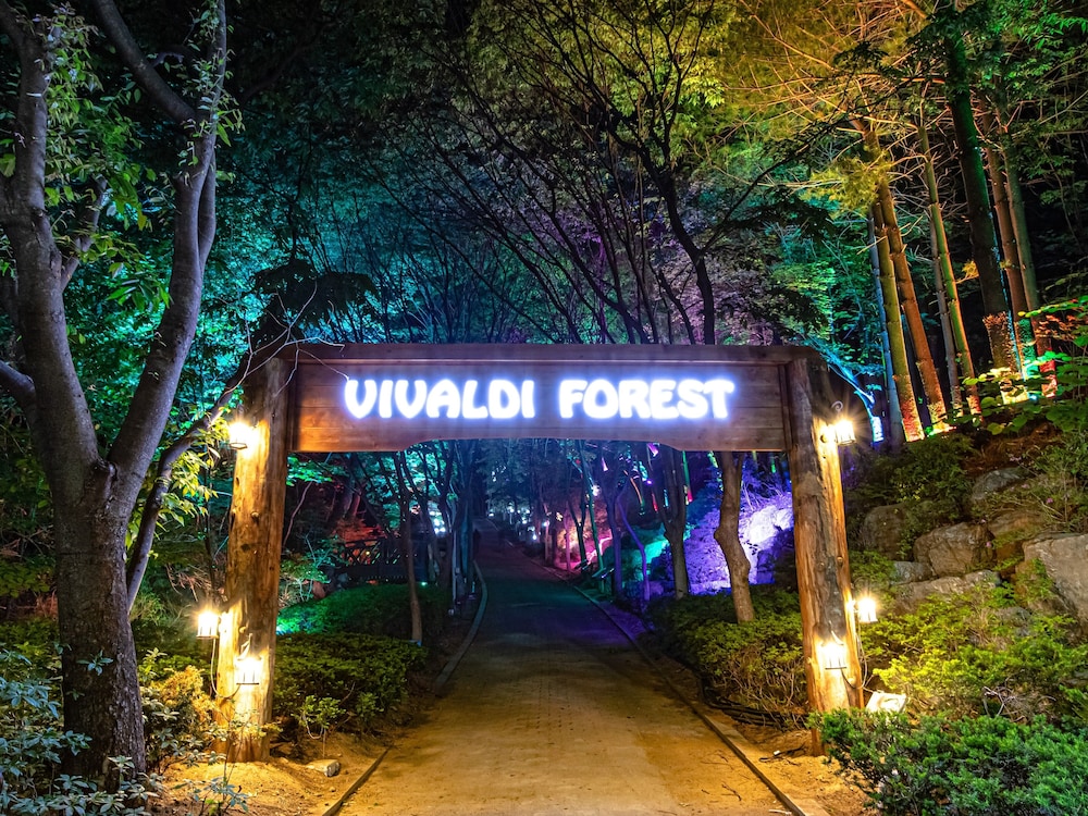 Sono Vivaldi Park 7/50