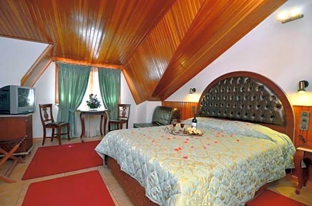 HOTEL APOLLON METSOVO 19/49