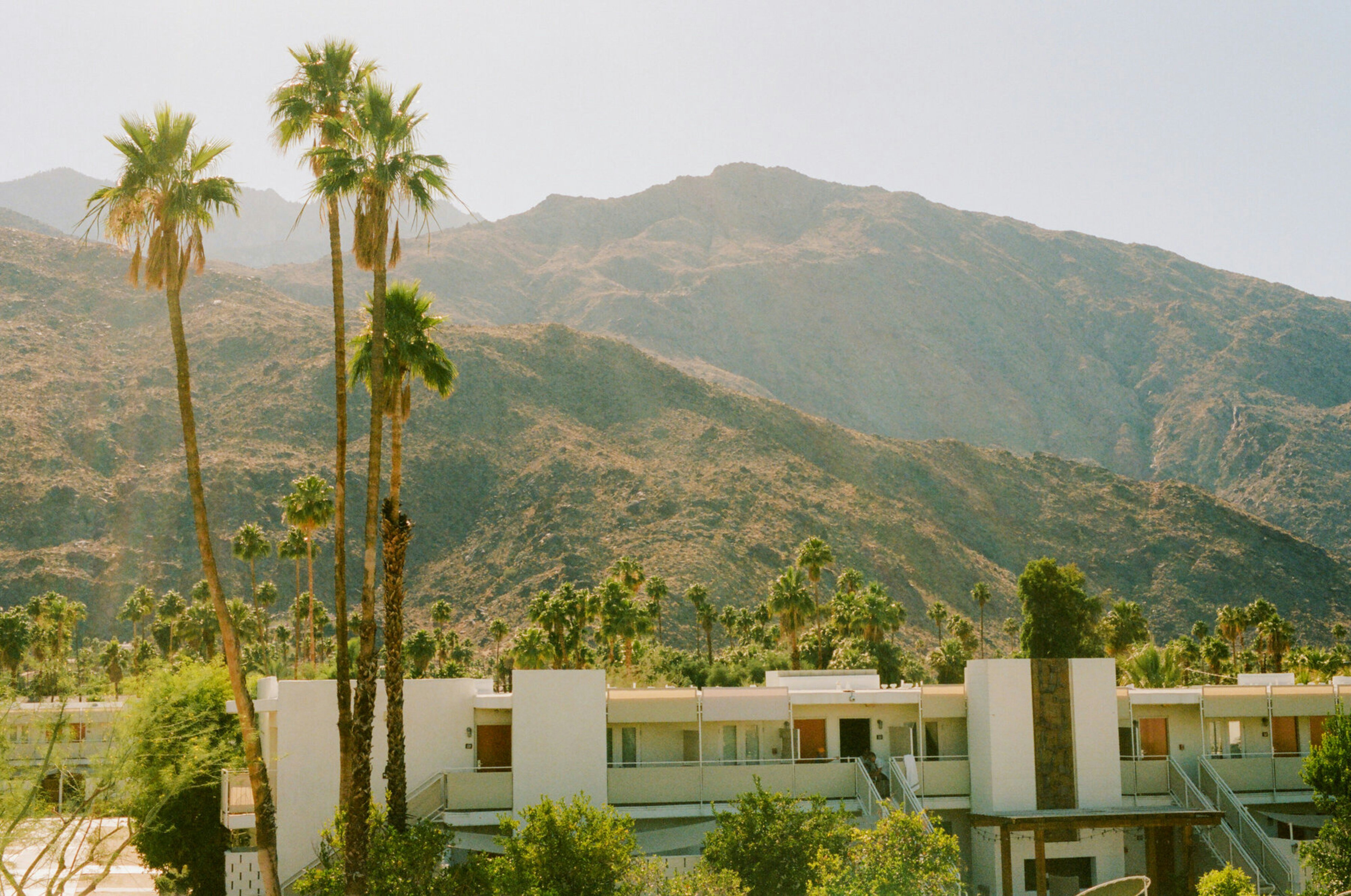 Ace Hotel 46/50