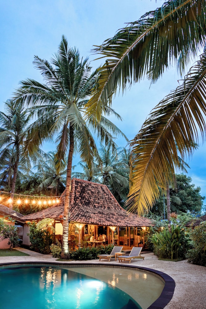 Coconut Garden Resort 37/50