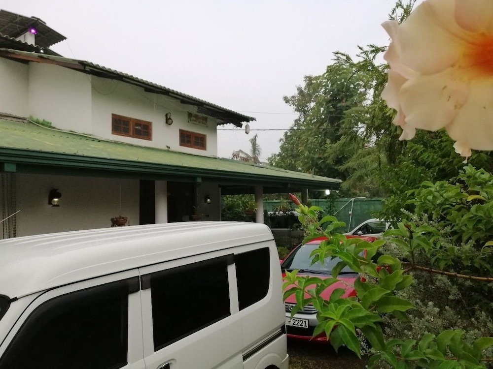 White Guest photo5