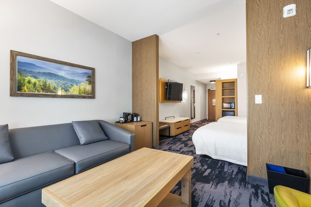 Fairfield by Marriott Inn & Suites San Francisco Airport Oyster Point Area 24/46