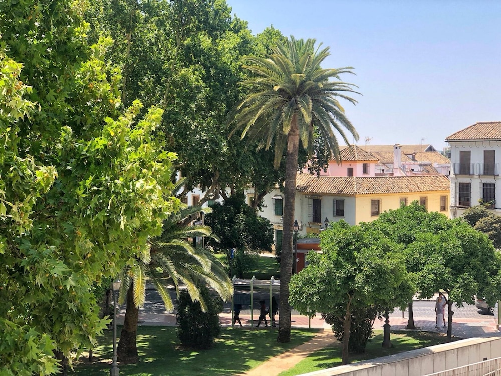 surroundings