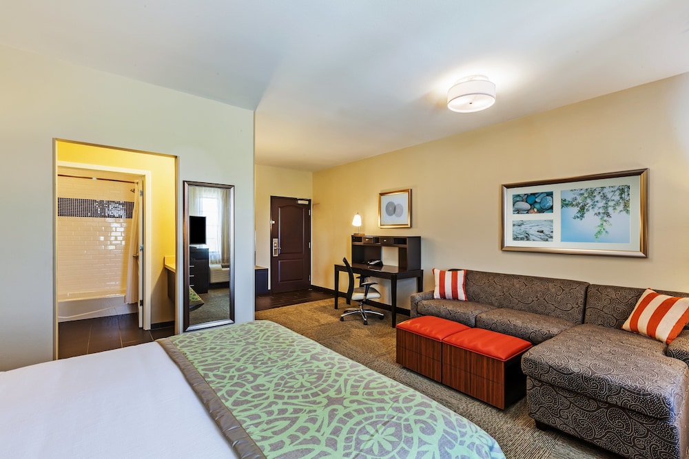 Staybridge Suites FORT WORTH - FOSSIL CREEK 19/66
