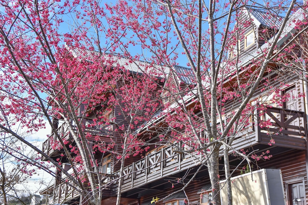 Beverly B&B 41/50