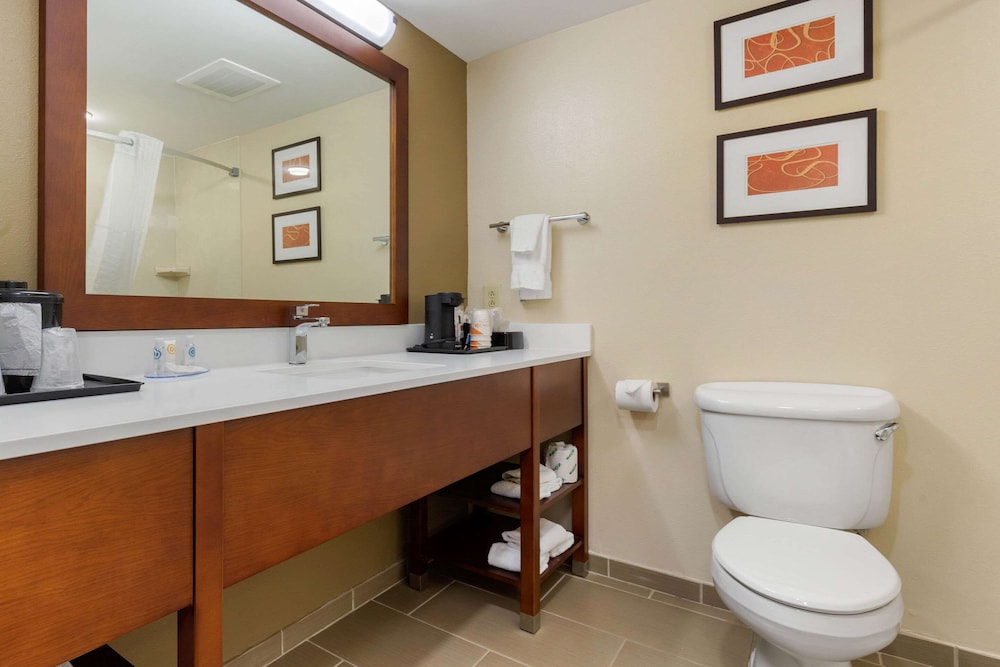 Comfort Inn & Suites Cordele GA 31/31