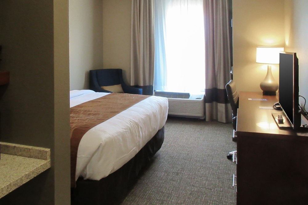 Comfort Inn & Suites Boise Airport 14/51