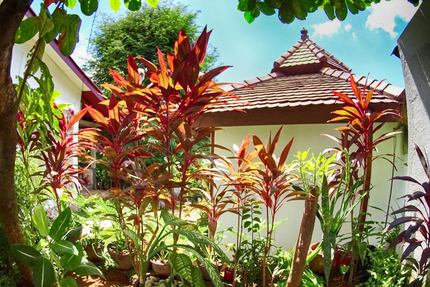 Ayu Hotel Karimunjawa 6/50