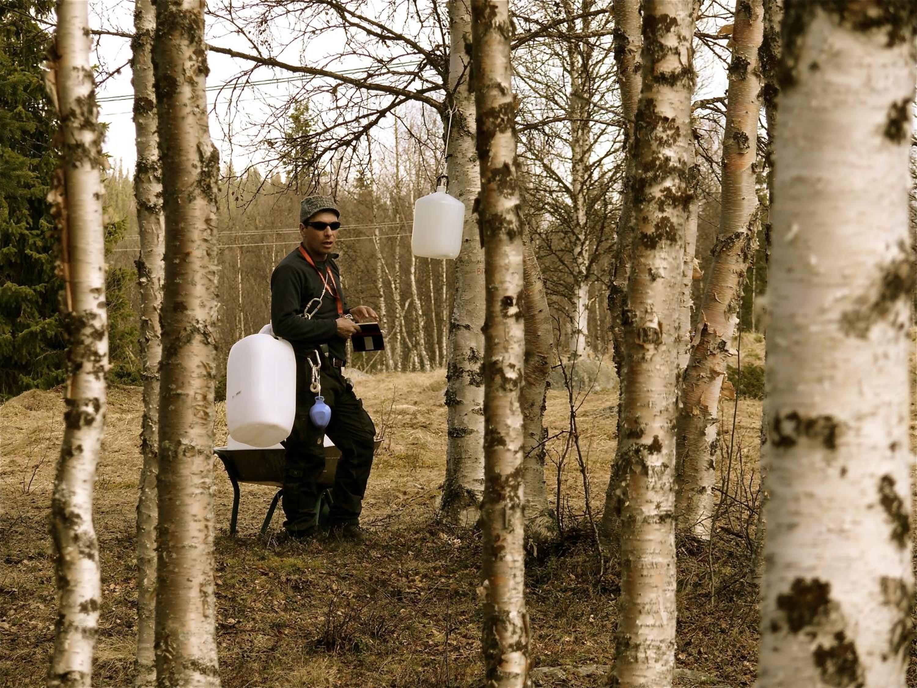 Stora Björnstugan In Laisvallby 39/50