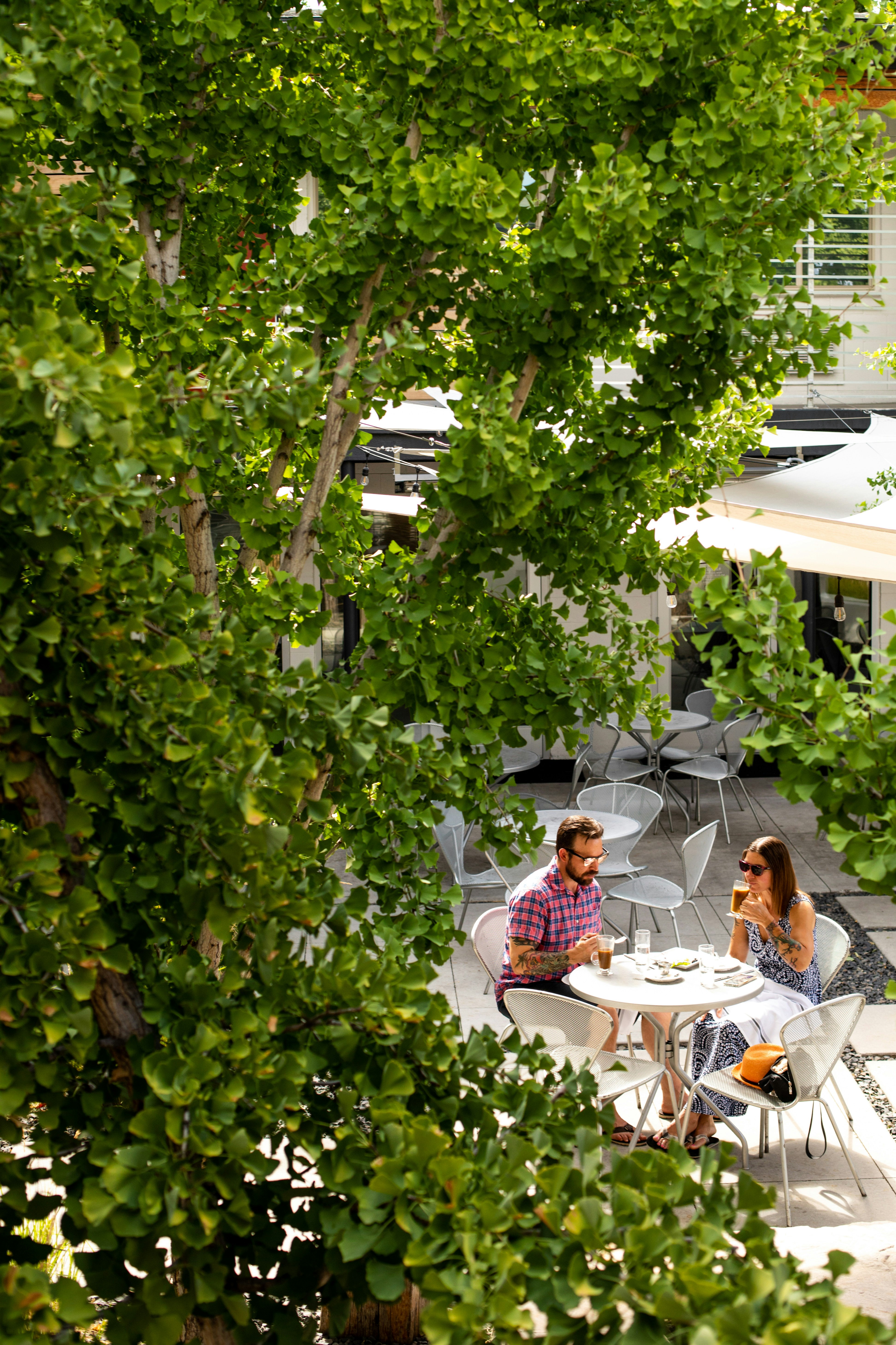 Modern Hotel And Bar 42/48