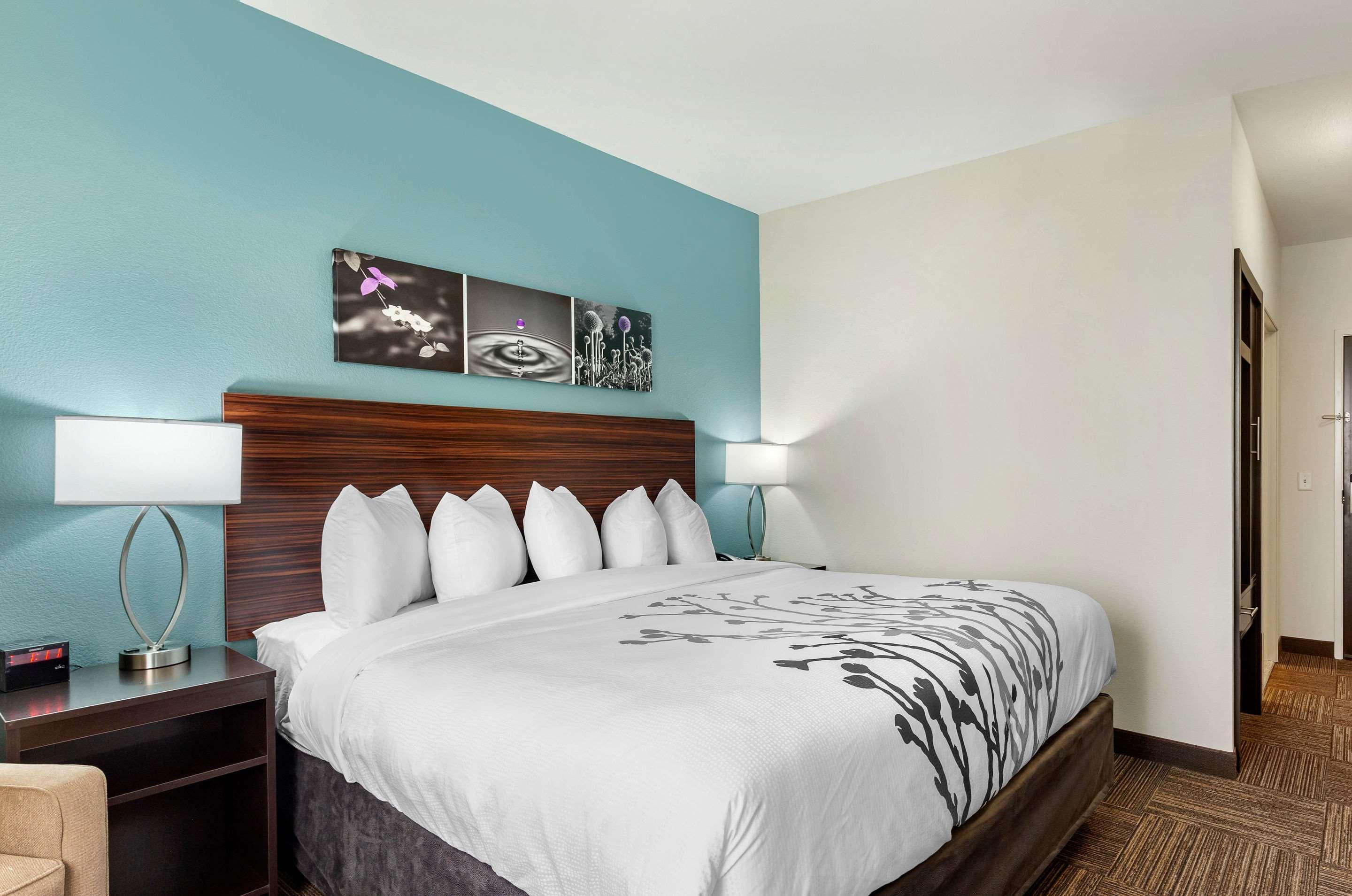 Room, Double Bed