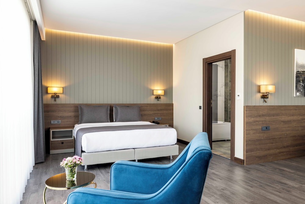 Ezkar Bathonea Art Istanbul Hotel 23/60