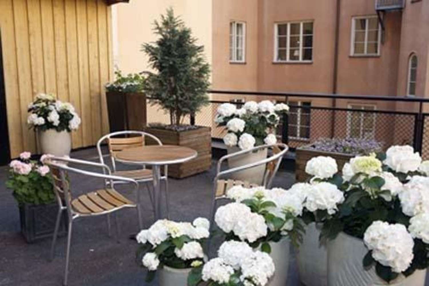 Home Hotel Wellington 16/22