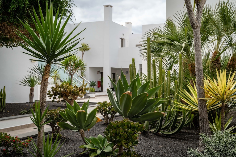 Lanzarote Village Hotel 62/69