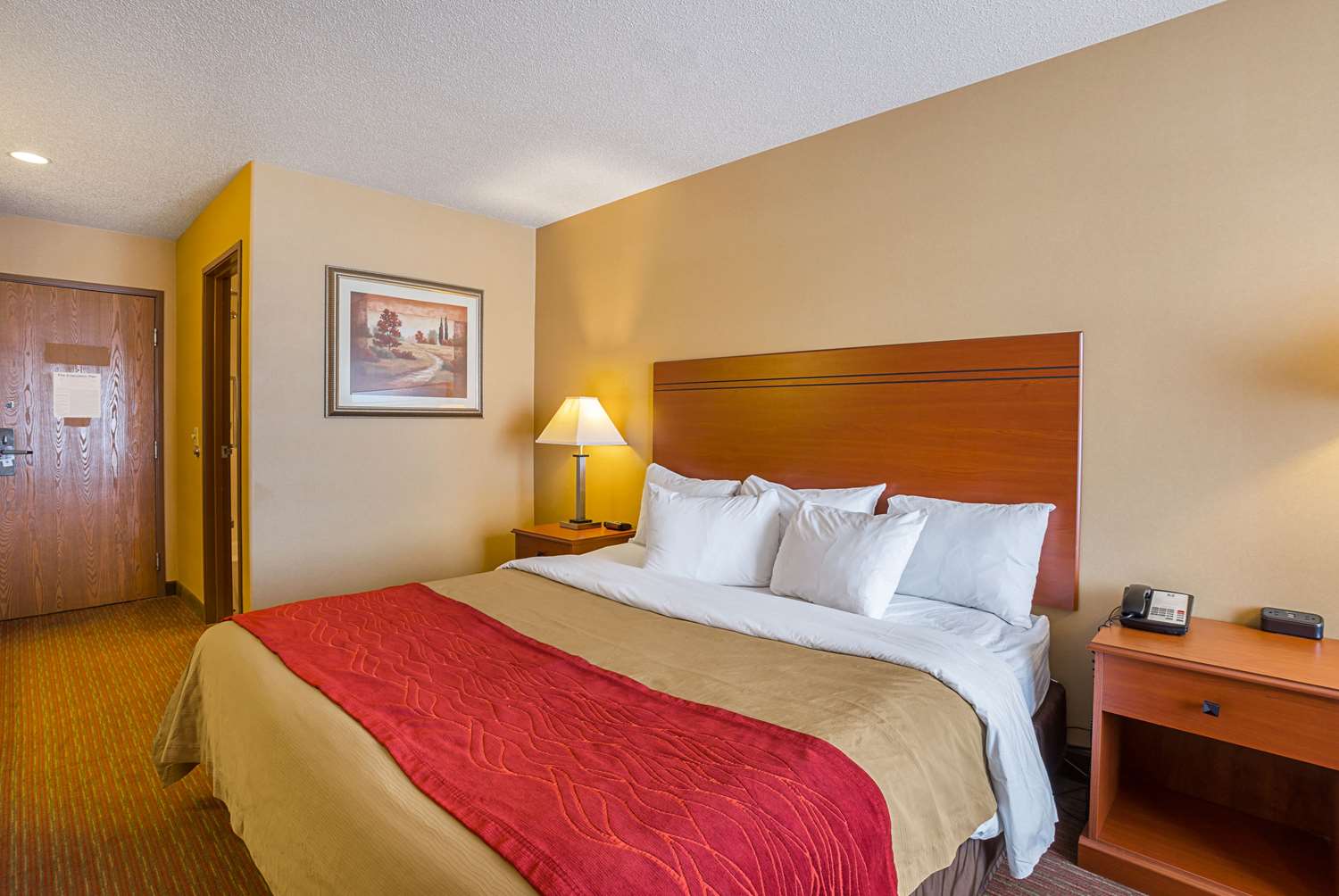 Room, King Bed