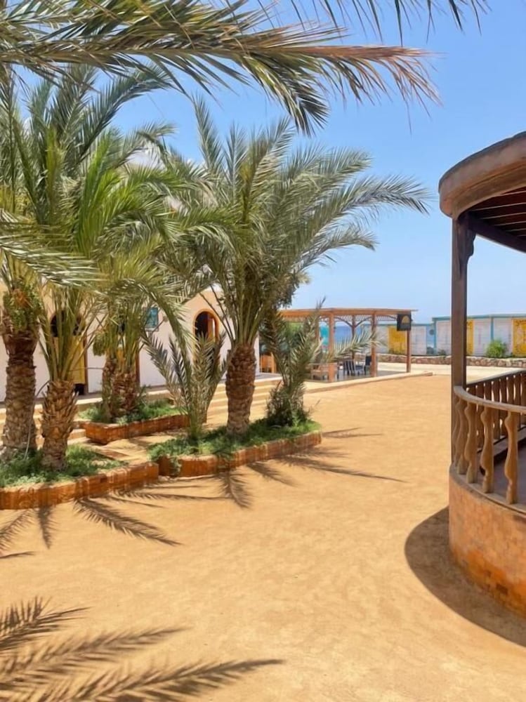 Shams Hotel &amp; Dive Centre 21/34