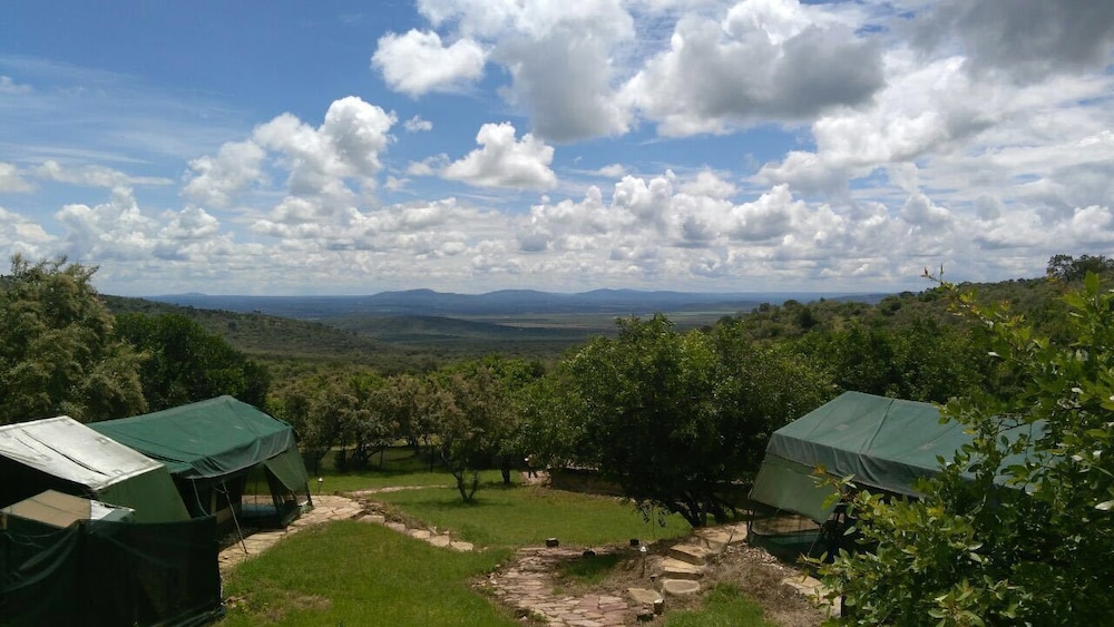 The Nubian In The Mara 29/31