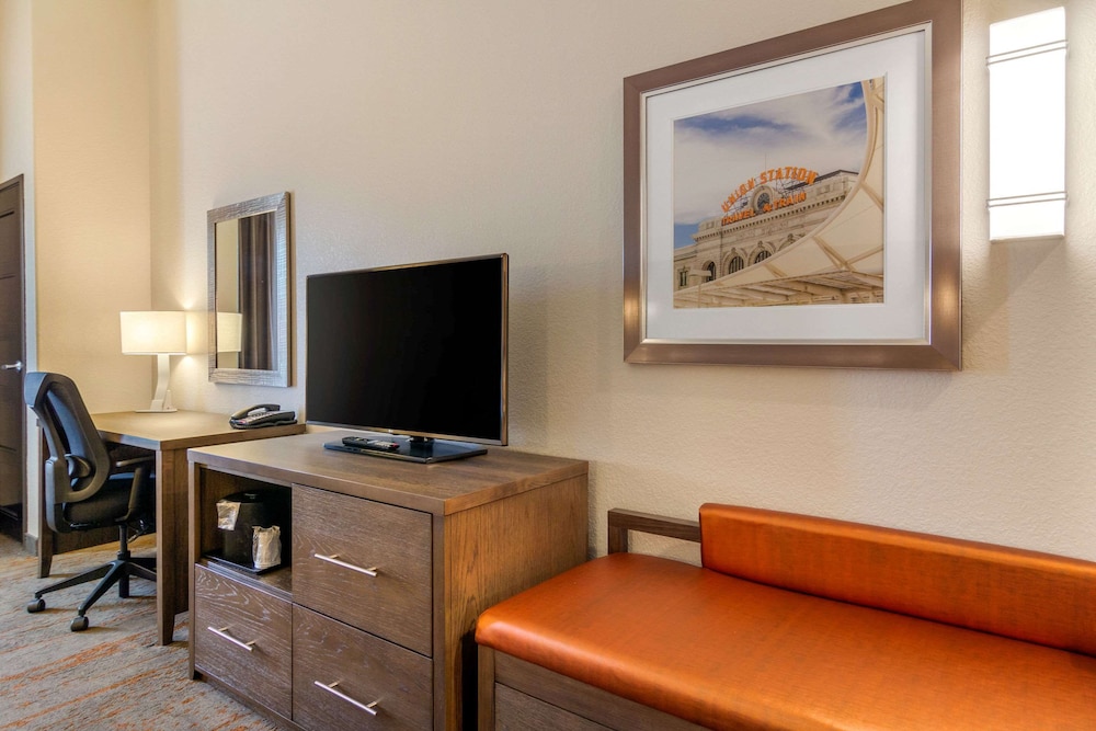 Comfort Inn and Suites Brighton Denver NE Medical Center 31/34