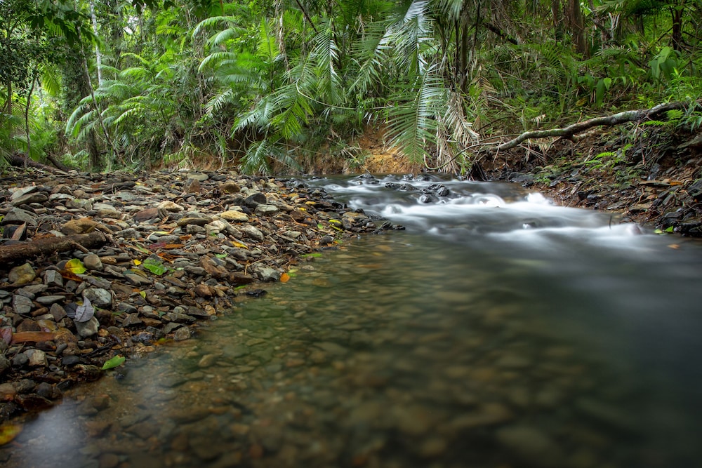 Daintree Wilderness Lodge 20/34