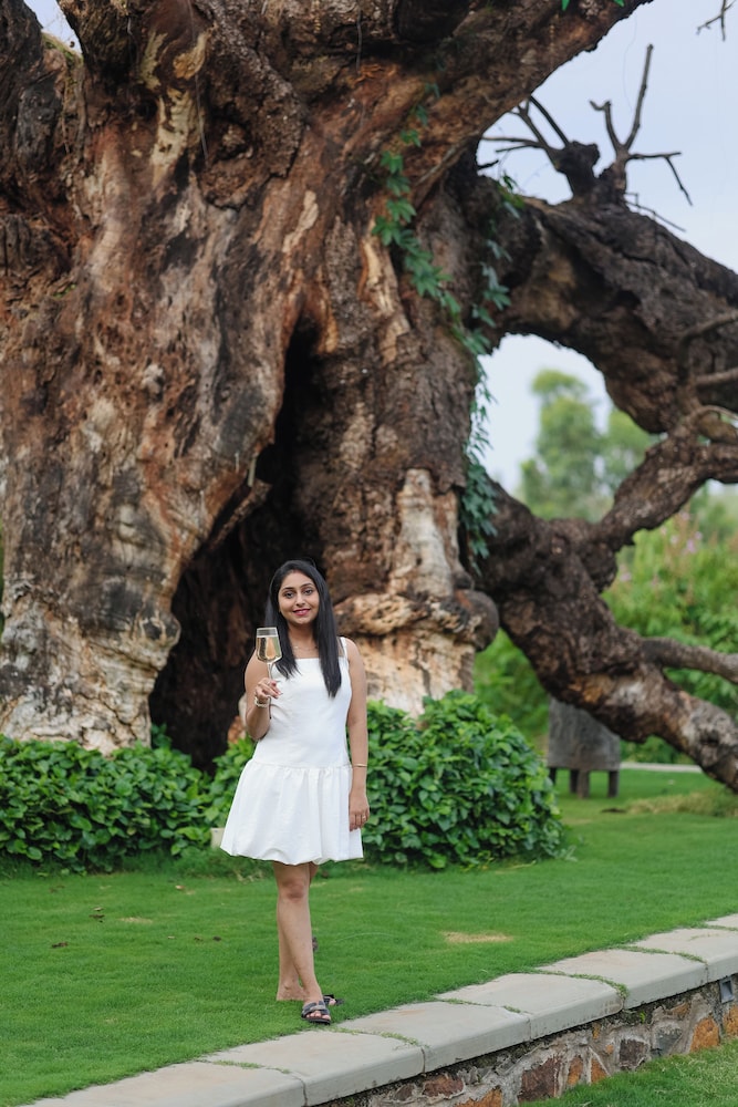 Radisson Resort Hatgad Saputara 70/74