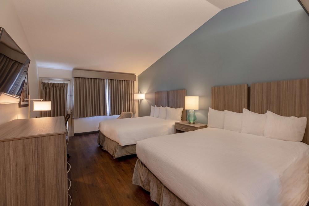 Best Western Inn At Face Rock 15/44