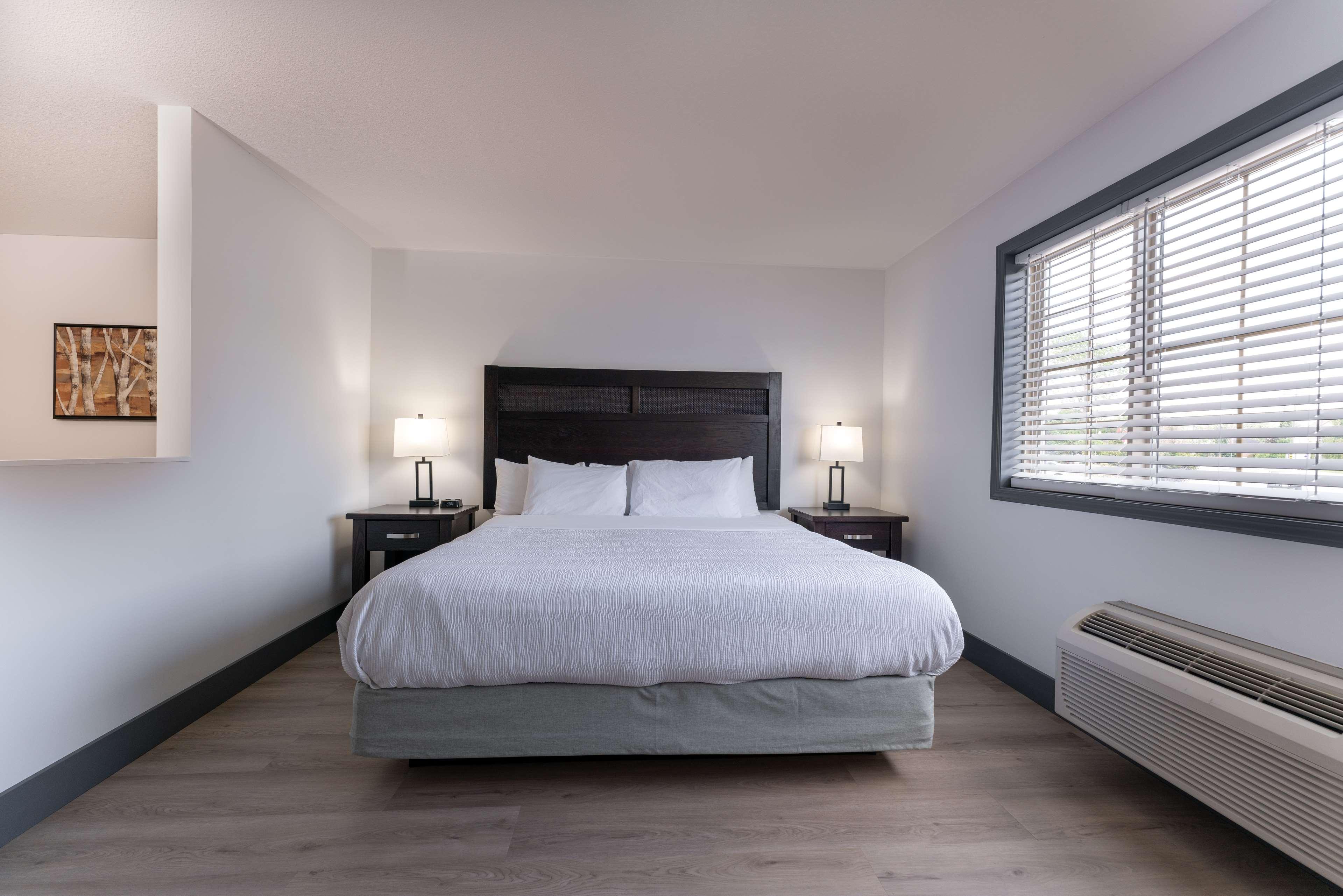 Suite, King Bed, Dining Area, Sofa, Kitchen