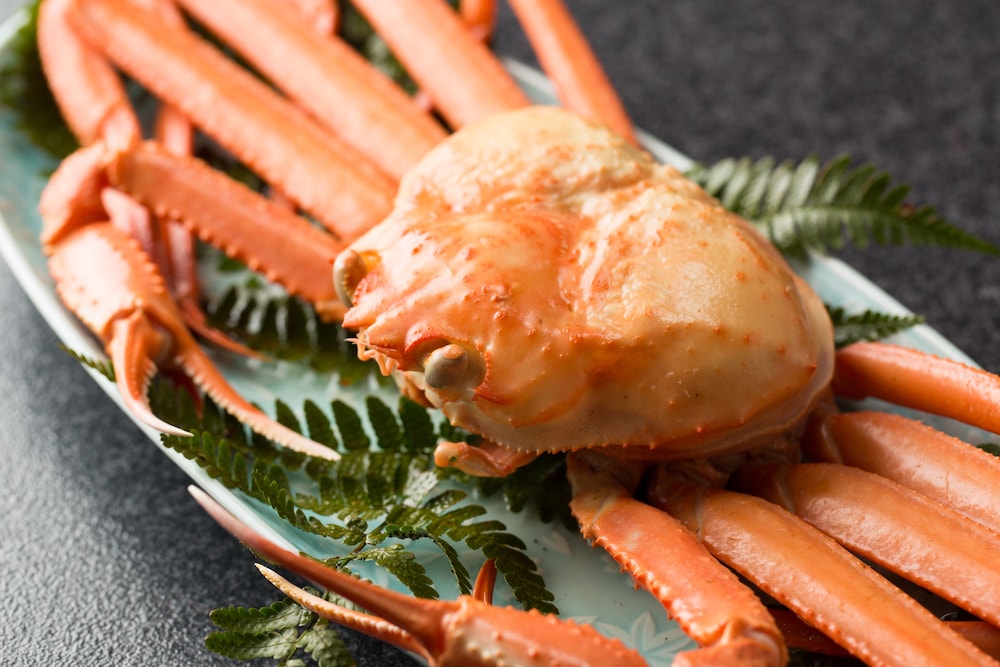 Kinosaki The Crab House Kanian 5/12