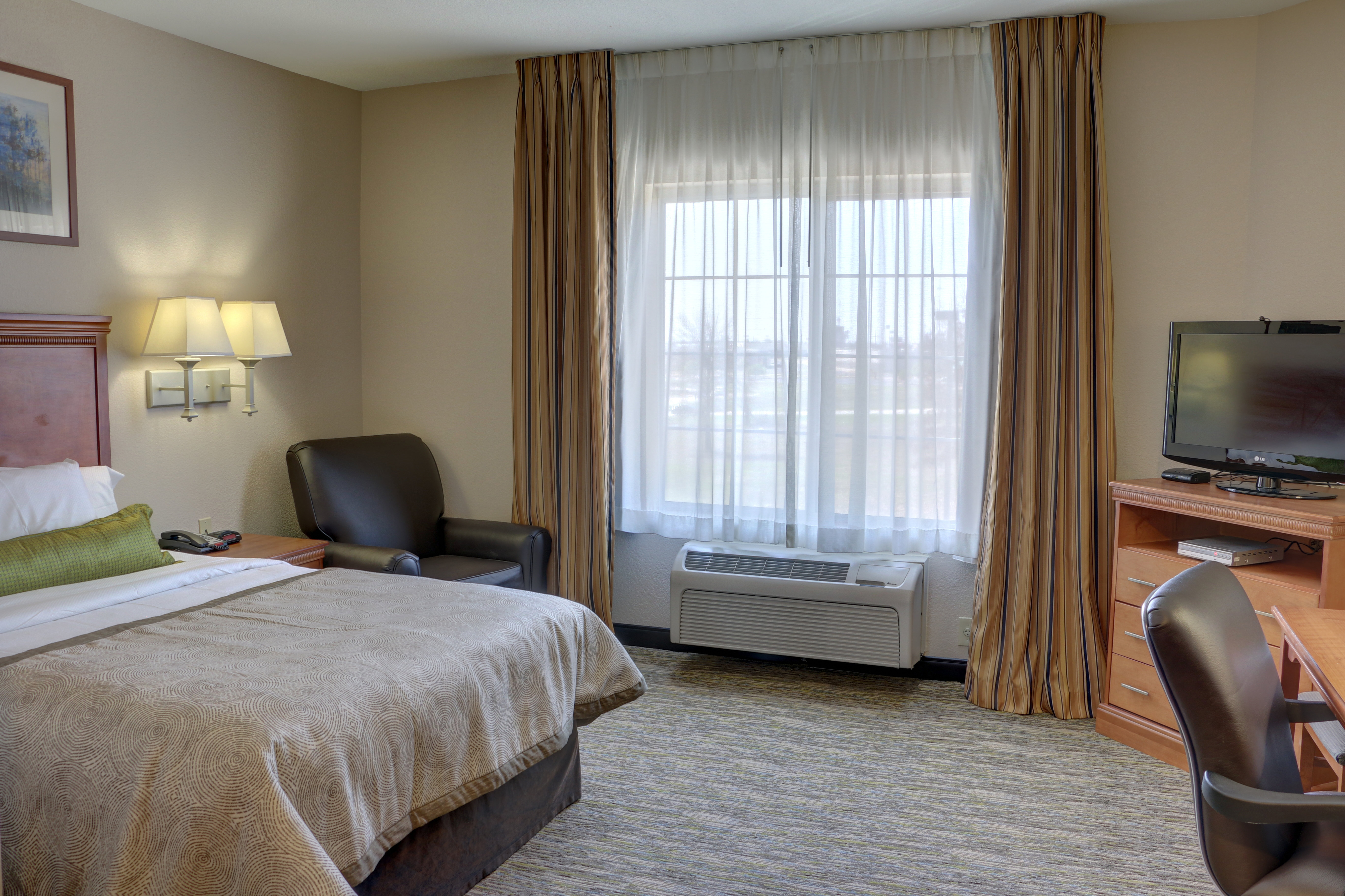 Studio, Suite, Queen Bed