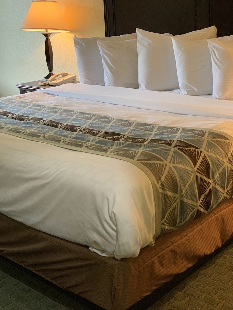 Ambassador Inn and Suites Tuscaloosa 39/57