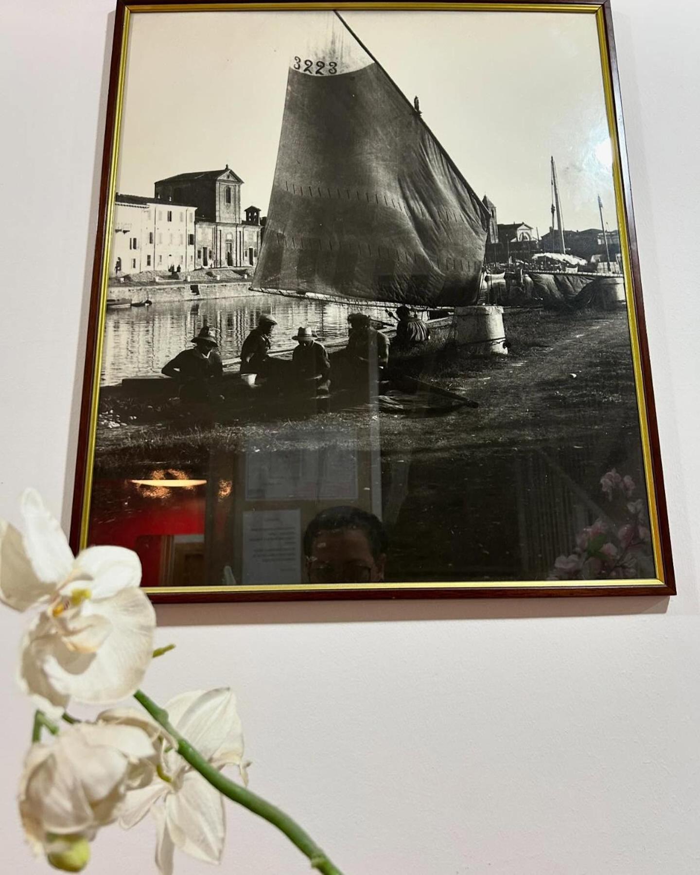 Hotel Rose Nuove 2/27