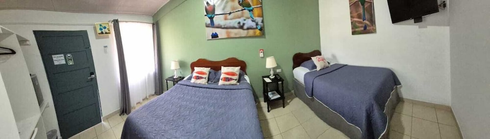 Divisamar 15/69