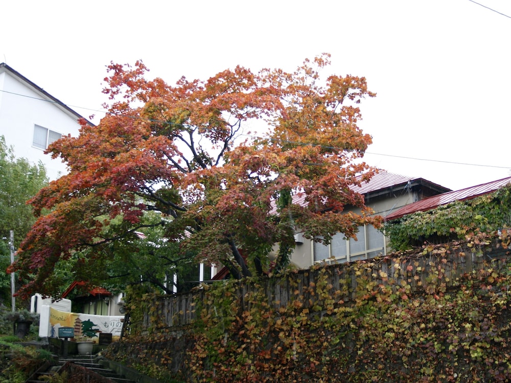 Otarunai Backpackers' Hostel Morinoki 46/48