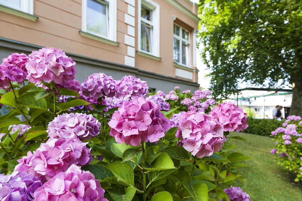 Ostseehotel Villen Im Park 40/48